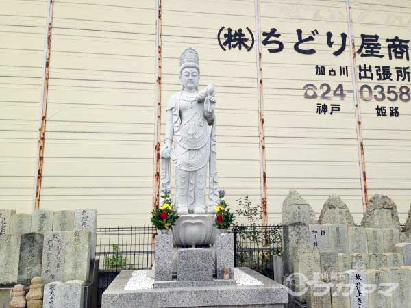 山之上霊園　観音さま　秋彼岸　花