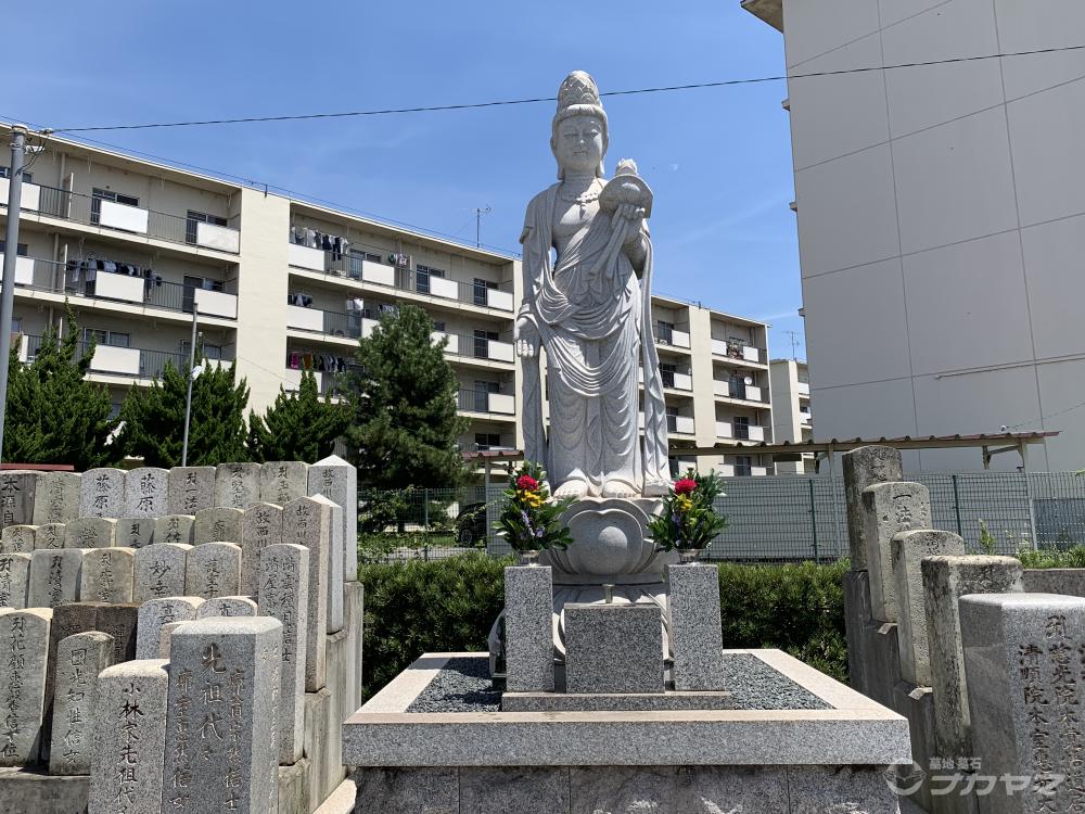 2019-08 二俣①