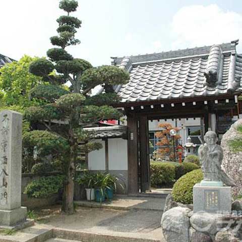 完成墓地 円明寺